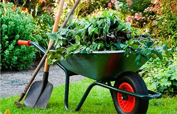 Periyodik Peyzaj Bahçe Bakımı